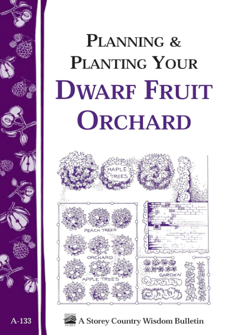 Planning & Planting Your Dwarf Fruit Orchard